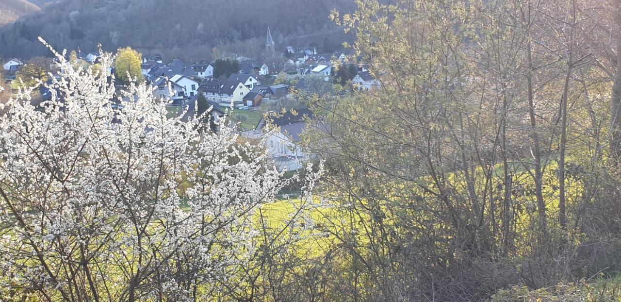 Wanderstube Landsonne Apartment Simmerath Bagian luar foto